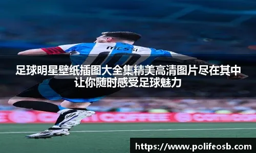 棒球与增强现实：球迷通过手机实时查看球种分布