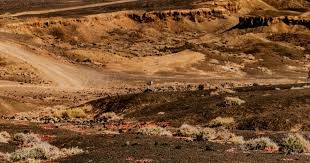 意大利杯尤文图斯对阵乌迪内斯是否要为意大利杯做出抉择？比分预测